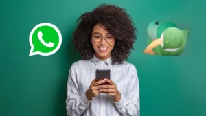 Read more about the article Enhancing Your Experience with WhatsApp LogicalShout Features